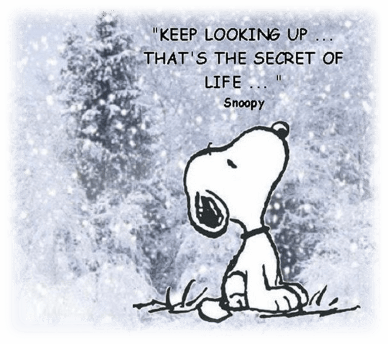 Snoopy keep looking up